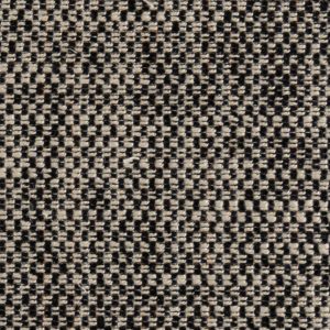 Novel Ebony